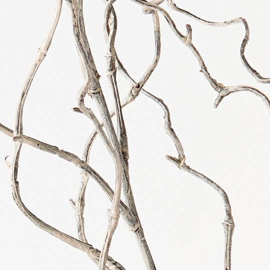 Twig Curly Willow Spray - Grey Wash