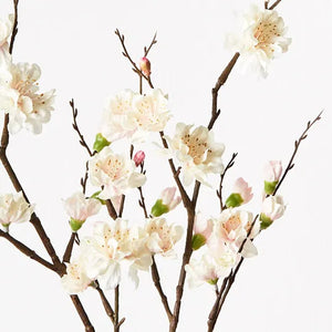 
            
                Load image into Gallery viewer, Blossom Plum
            
        