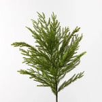 Pine Cypress Spray 66cml