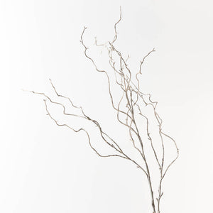 Twig Curly Willow Spray - Grey Wash