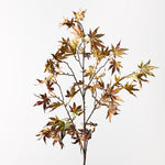 Japanese Maple Leaf Spray