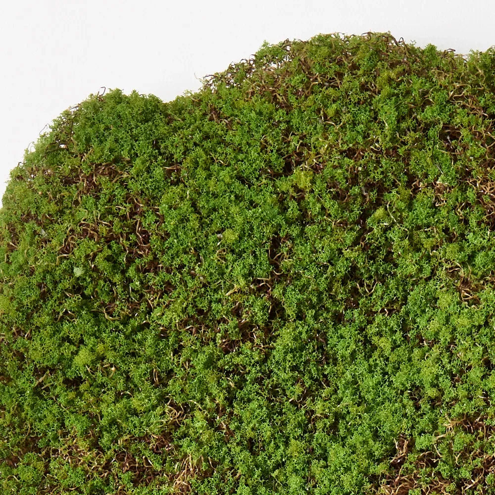 Moss Sheet