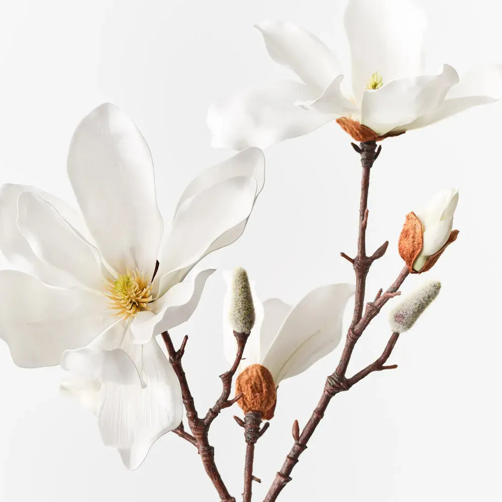 Magnolia Japanese Spray