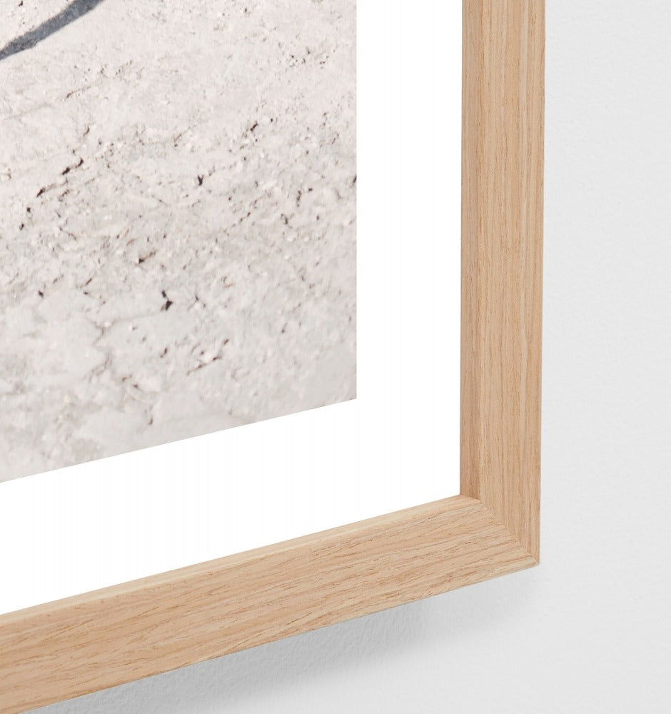 Beachside Ladder Print