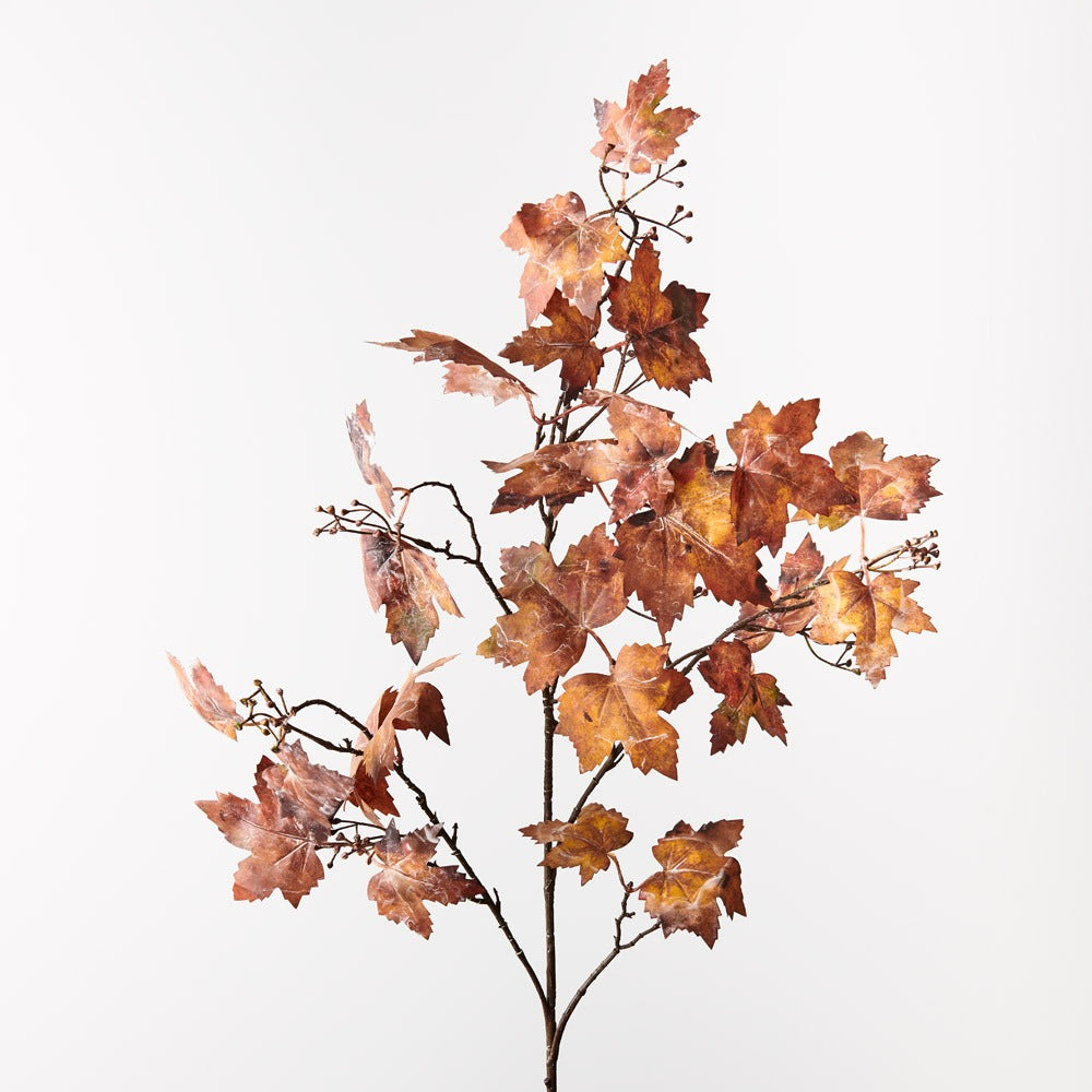 Maple Leaf Seed Spray Rust – Ikos Home Pty Ltd