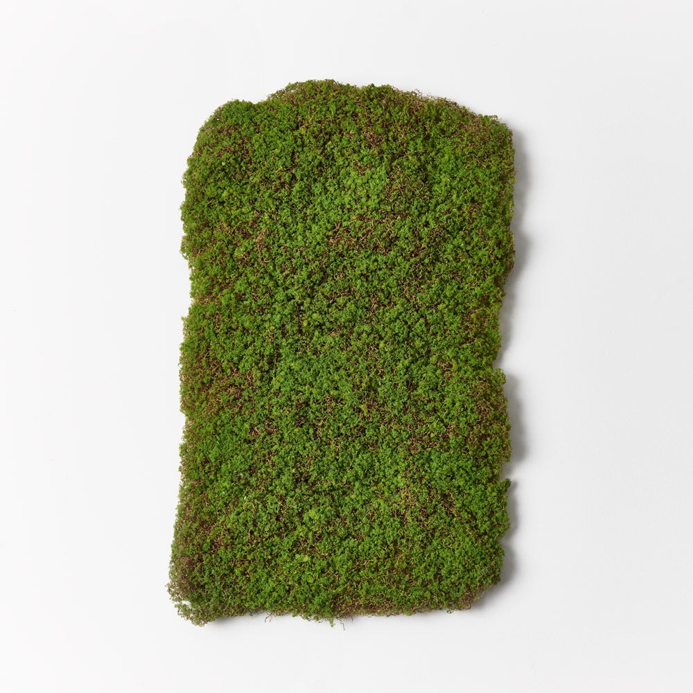 Moss Sheet