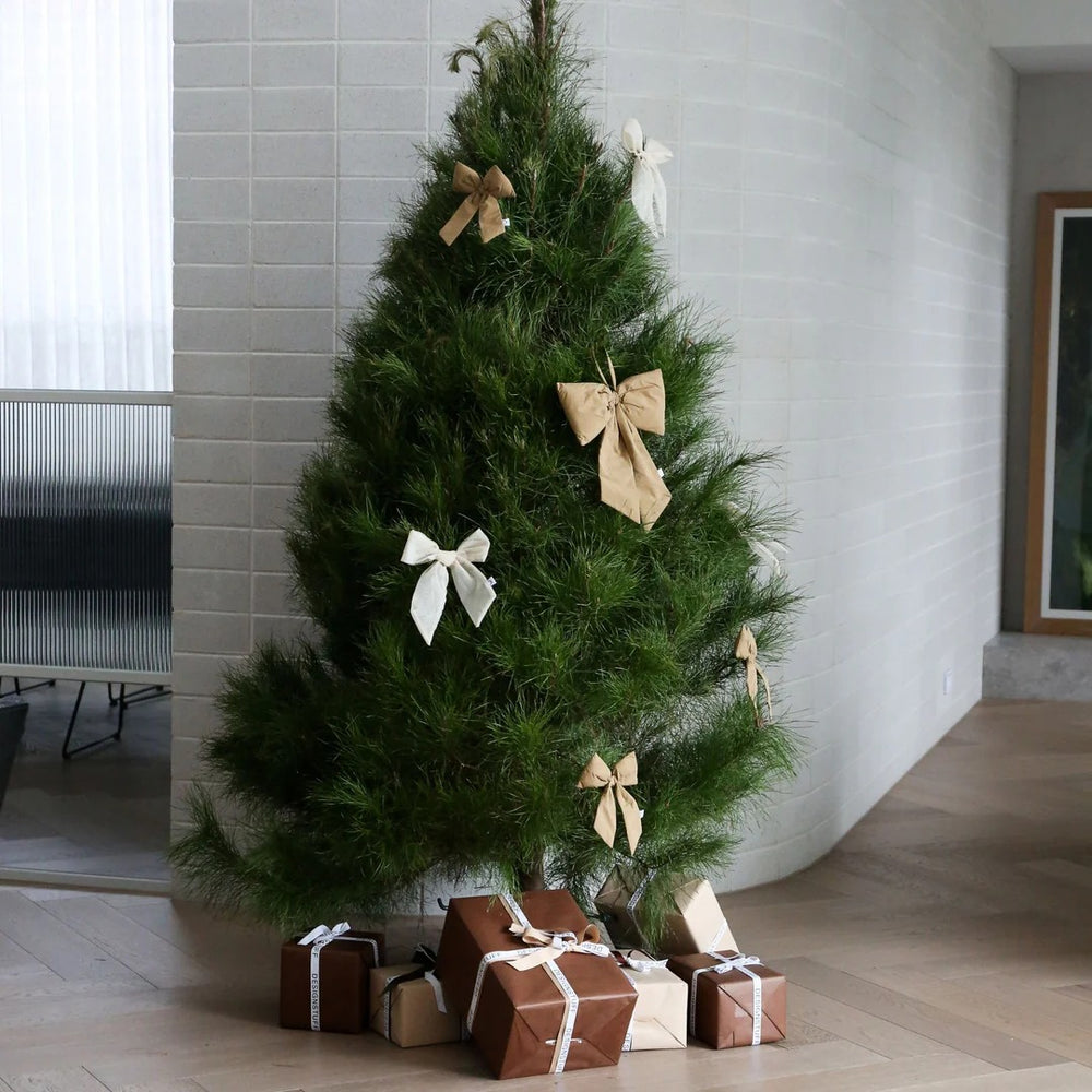 LUVA Hanging Door Bow, Medium Fern