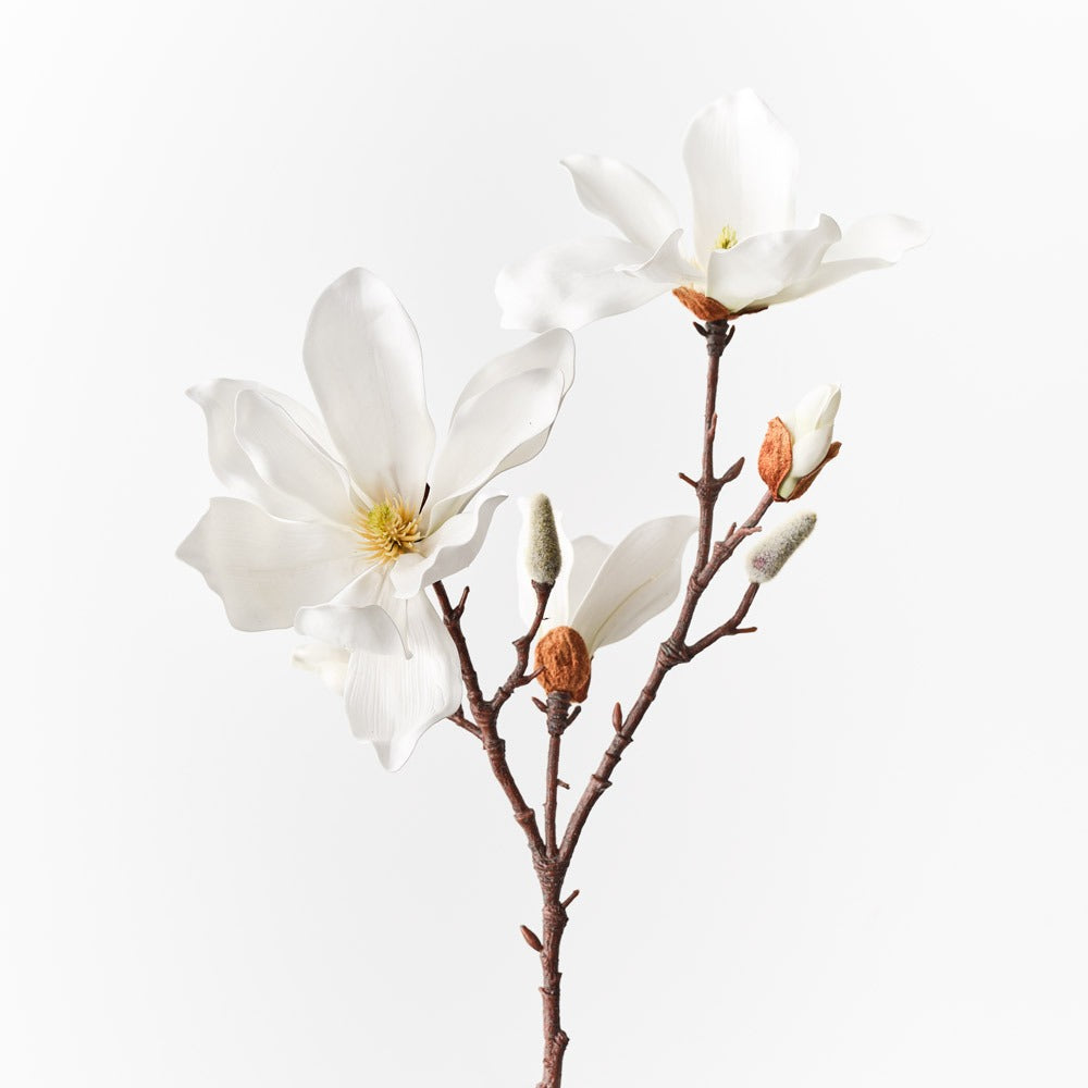 Magnolia Japanese Spray