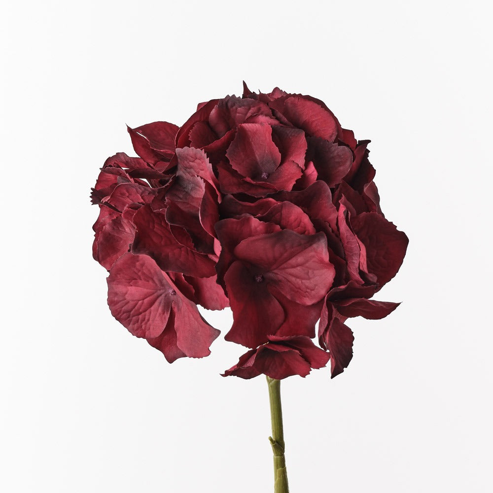 Hydrangea Deep Burgandy