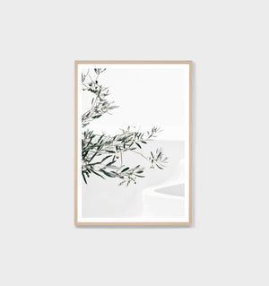 Olive Courtyard Print